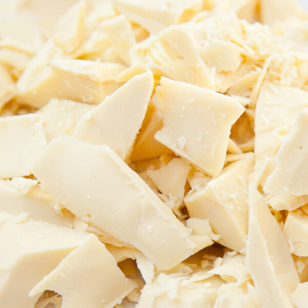 Fuji Oil Cocoa Butter Equivalent (CBE) Supplier