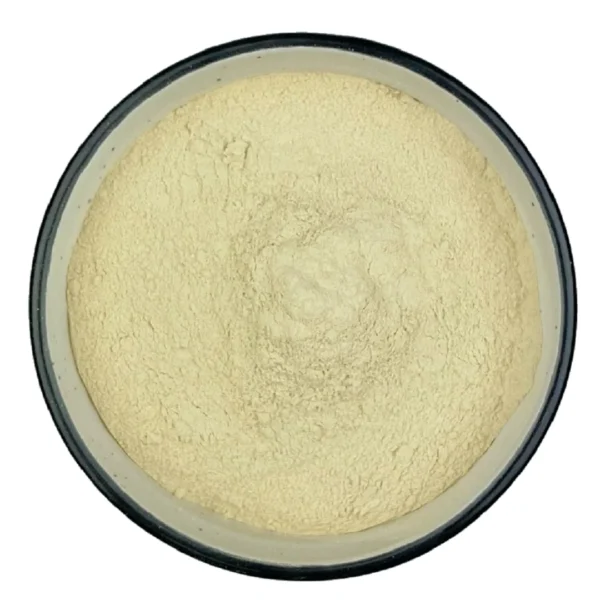GluCorp Rice Protein Supplier