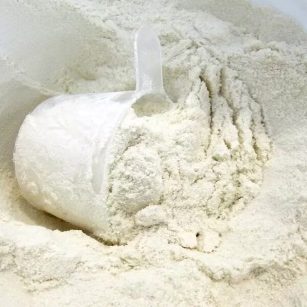High Solubility Demineralized Whey Powder