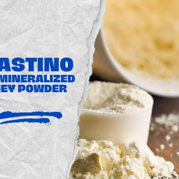 High quality demineralized whey powder