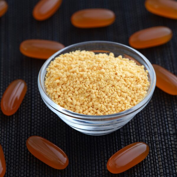 Lecithin Supplier – Bunge Loders Croklaan (Netherlands)