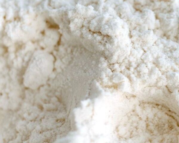 Low Ash Demineralized Whey Powder