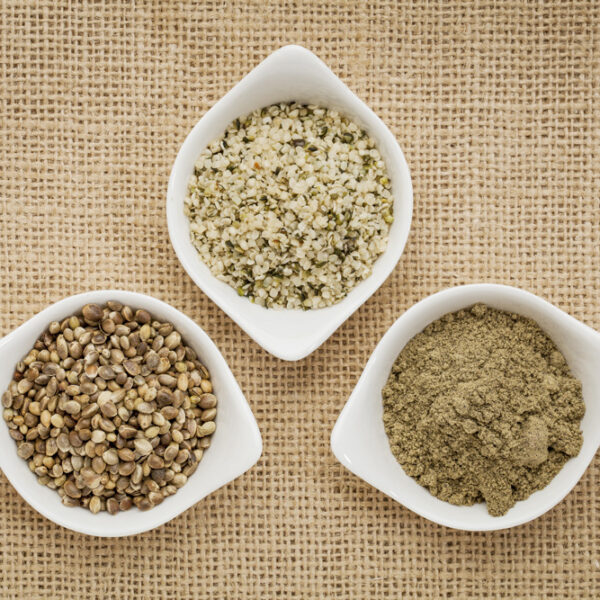 Manitoba Harvest Hemp Protein Supplier