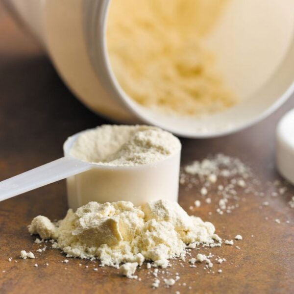 Micronized Demineralized Whey Powder