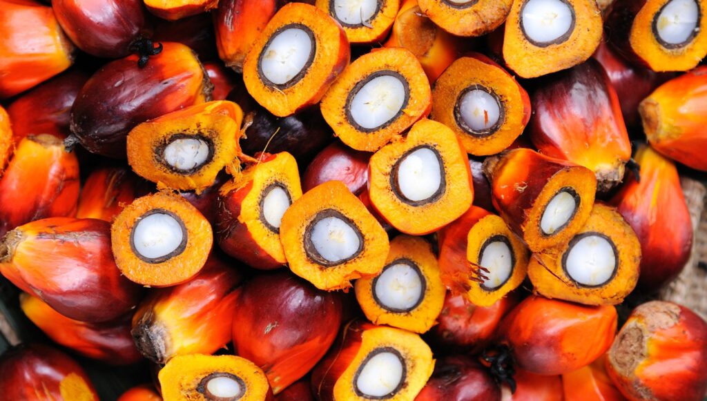 Musim Mas Hydrogenated Palm Oil