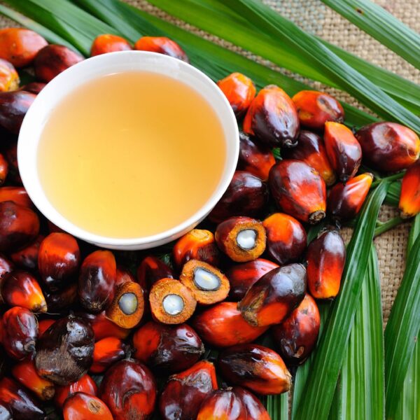Musim Mas Hydrogenated Palm Oil