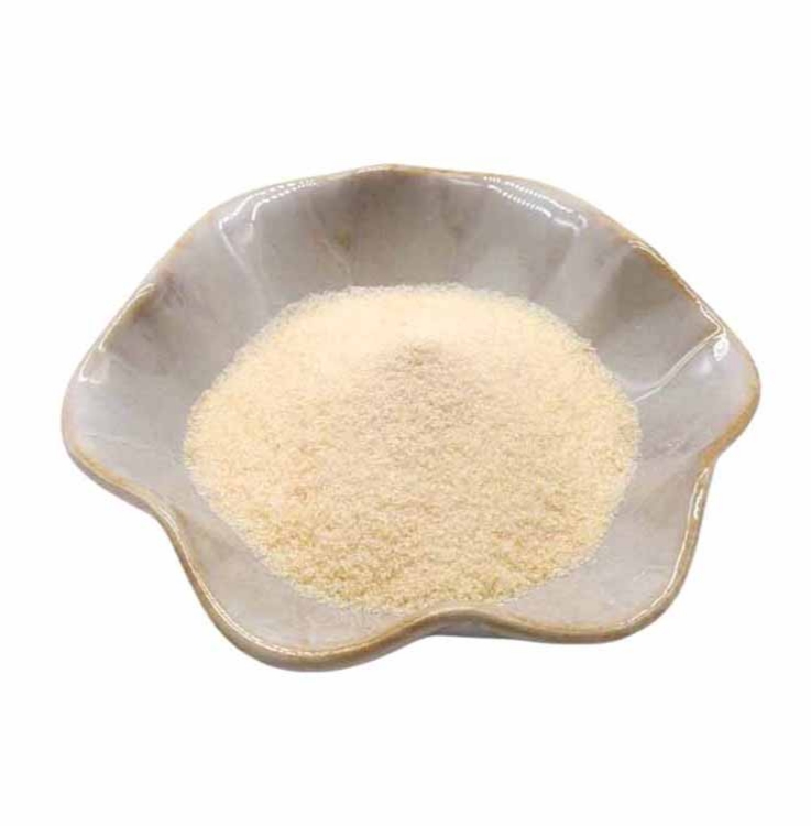 Nitta Gelatin Halal Gelatin Powder Supplier