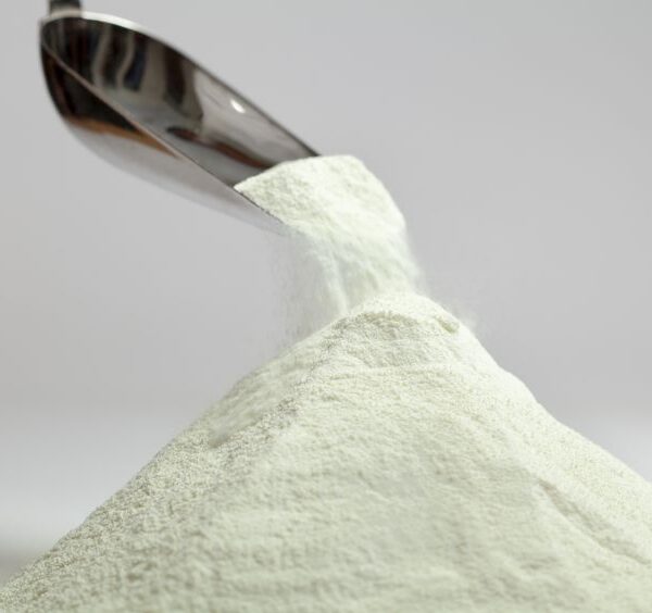 Non-GMO demineralized whey powder