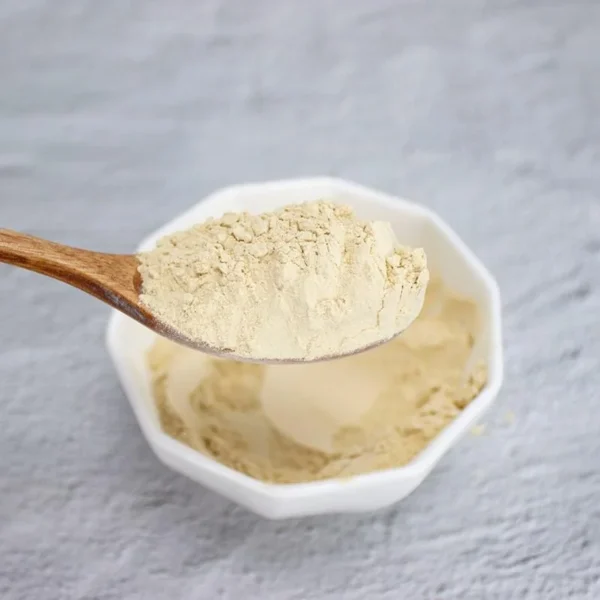 NutriBiotic Rice Protein Supplier