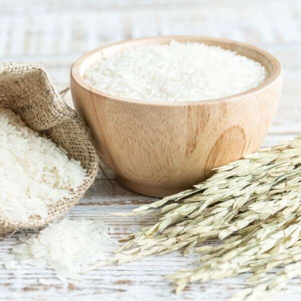 Roquette Rice Protein Supplier