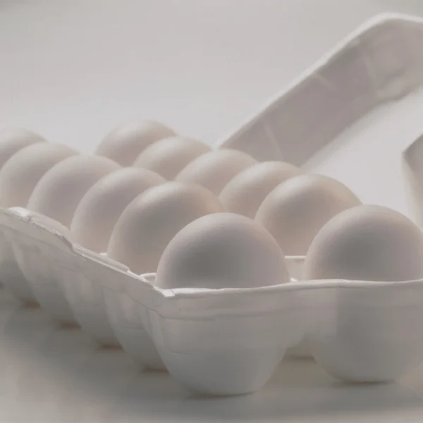 Rose Acre Farms Egg White Protein Supplier