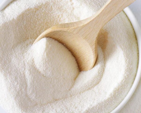 Spray-Dried Demineralized Whey Powder