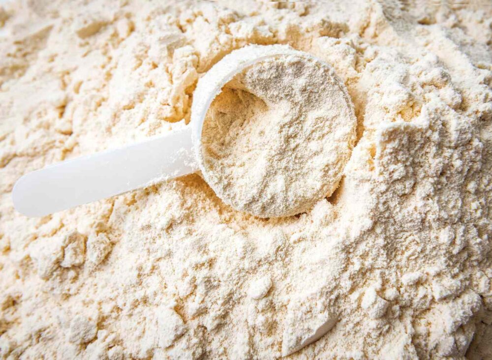 Types of demineralized whey powder