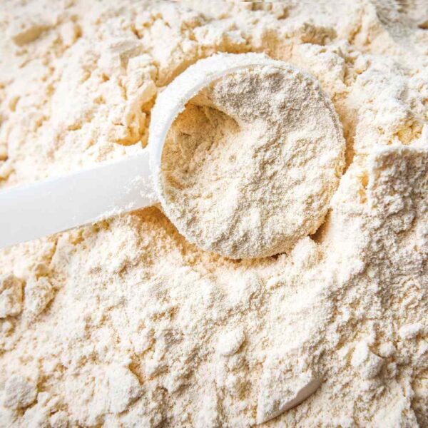 Types of demineralized whey powder