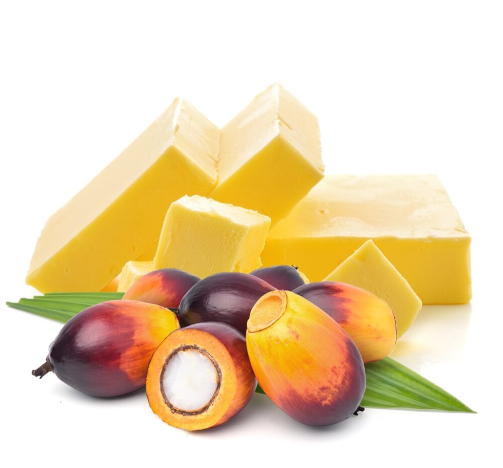 Wilmar Hydrogenated Palm Oil