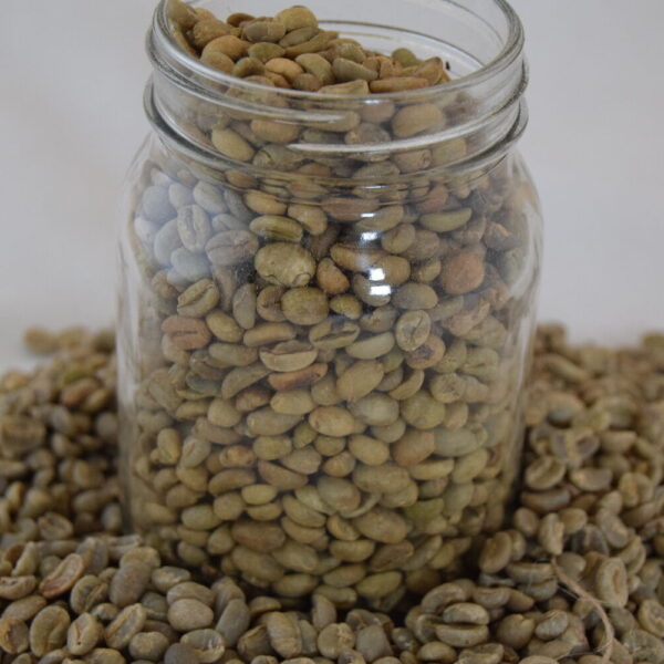 RIO MINAS 17/18 Strong Rio Flavor Green Coffee Beans | Supplier