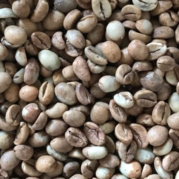 Brazilian Robusta Conilon Green Coffee Beans