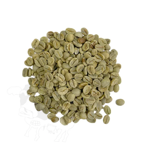 Brazilian Santos Arabica Green Coffee Beans