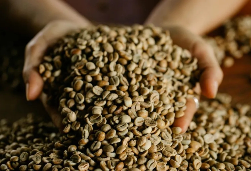 Burundi Kayanza Arabica Green Coffee Beans