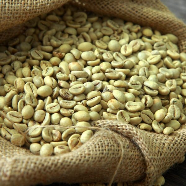 Colombian Caturra Arabica Green Coffee Beans