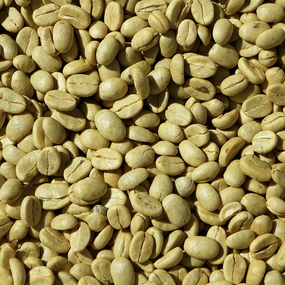 Ethiopian Yirgacheffe Arabica Green Coffee Beans