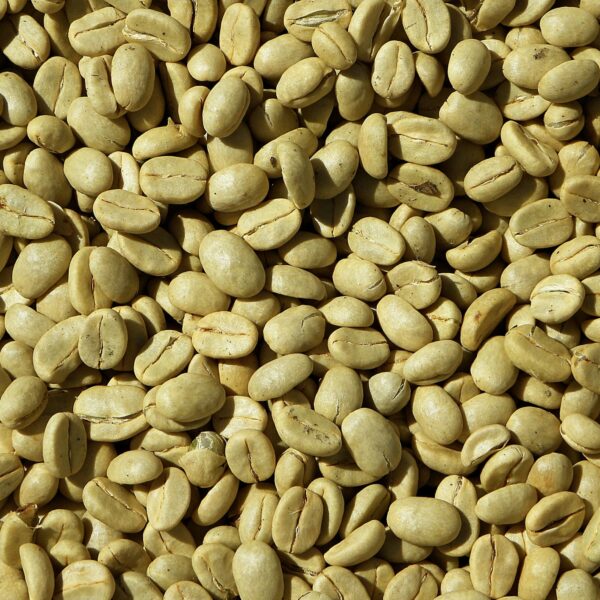 Ethiopian Yirgacheffe Arabica Green Coffee Beans