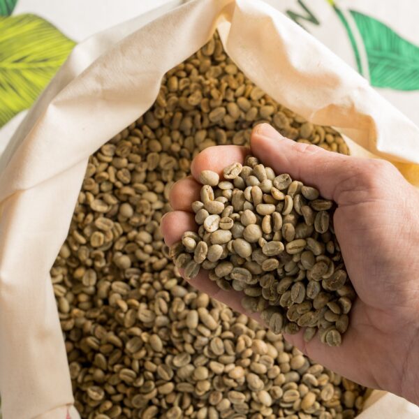 RIO MINAS 15/16 Semi-Washed Green Coffee Beans – Fine Cup | Supplier