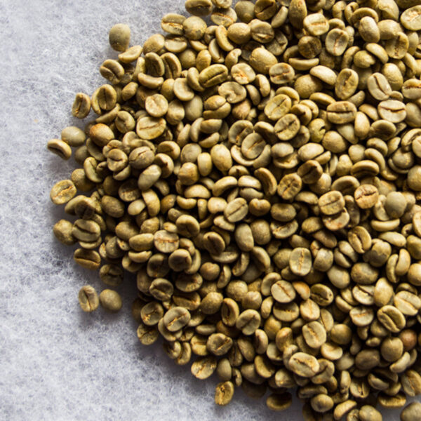 RIO MINAS 17/18 Natural Green Coffee Beans – Soft Cup | Supplier