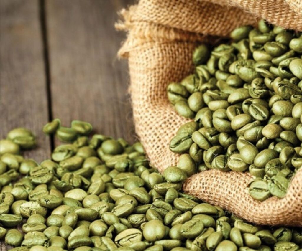Indonesian Robusta Lampung Green Coffee Beans