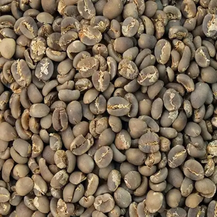 Indonesian Sulawesi Toraja Arabica Green Coffee Beans