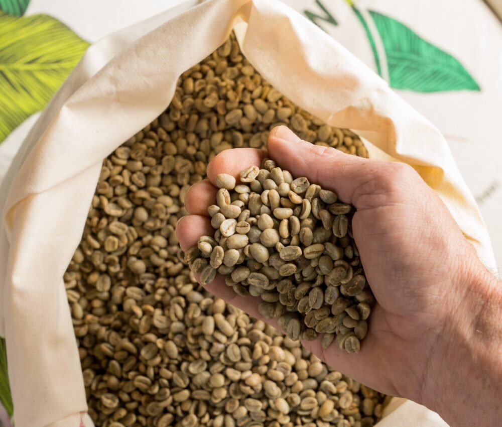 Indonesian Sumatra Lintong Arabica Green Coffee Beans