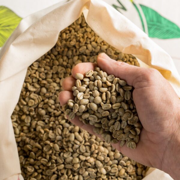 Indonesian Sumatra Lintong Arabica Green Coffee Beans