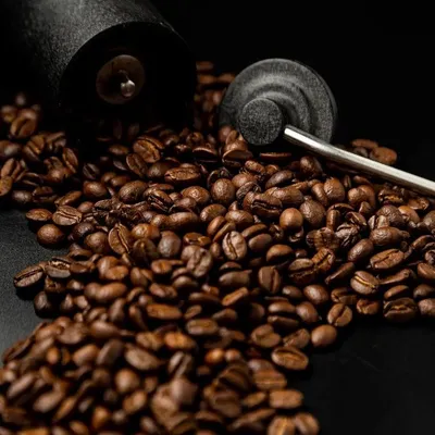 Latamarko Organic Spray-Dried Instant Coffee