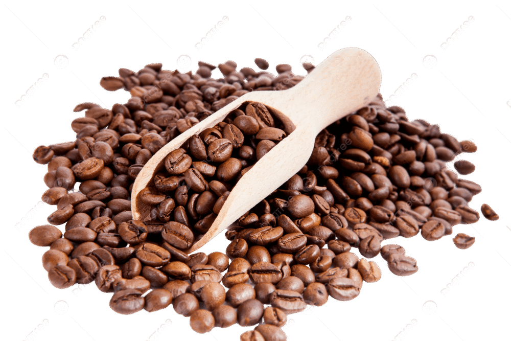 Spray-Dried Instant Coffee 20kg Pack