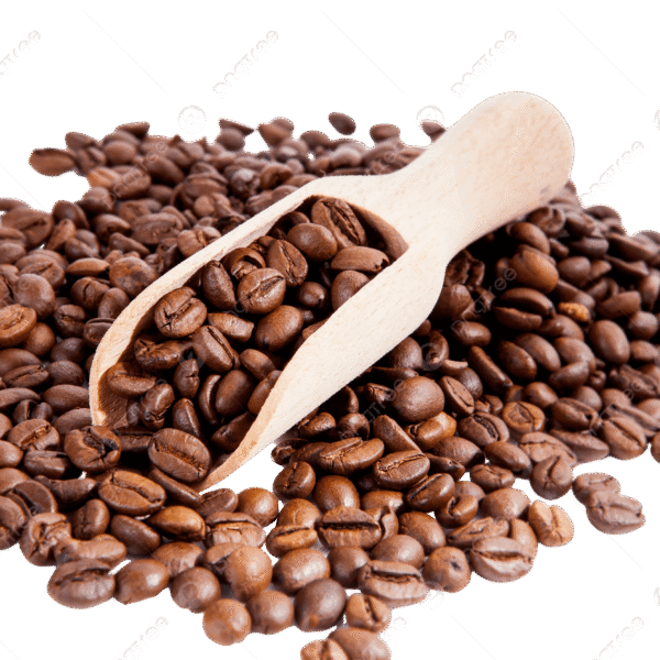 Spray-Dried Instant Coffee 20kg Pack