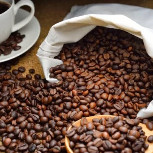 Spray-Dried Instant Coffee from Brazil Beans