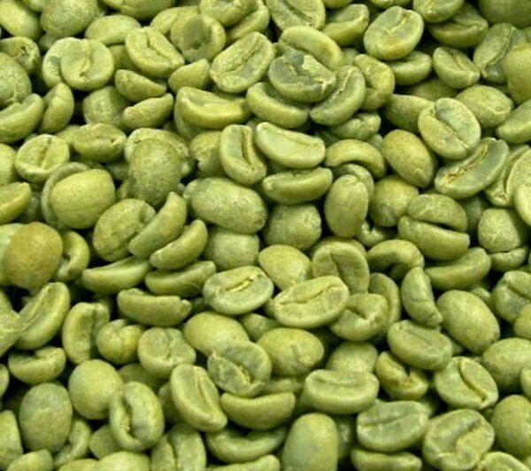 Ugandan Bugisu Arabica Green Coffee Beans