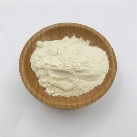 Egg white Powder Holland and Barrett
