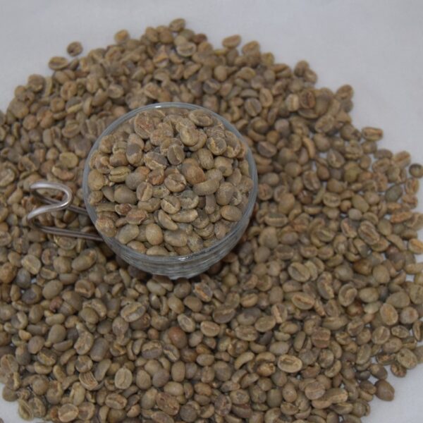 RIO MINAS 17/18 Medium Rio Flavor Green Coffee Beans | Supplier