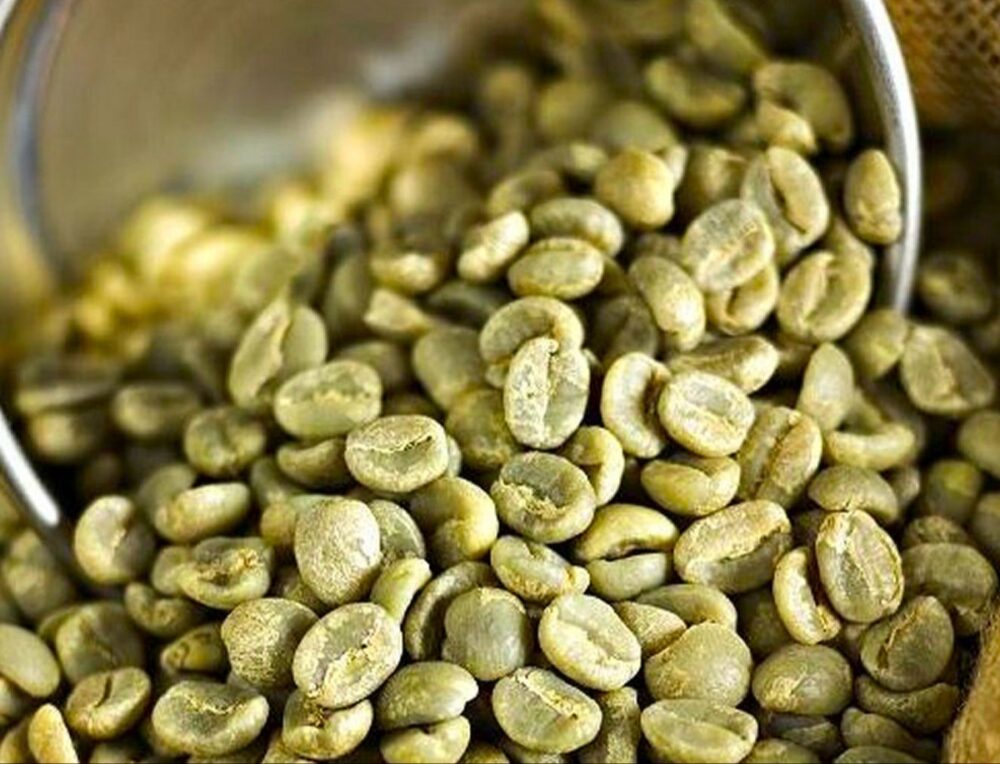 RIO MINAS 17/18 Green Coffee Beans from Minas Gerais | Supplier