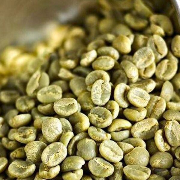 RIO MINAS 17/18 Green Coffee Beans from Minas Gerais | Supplier