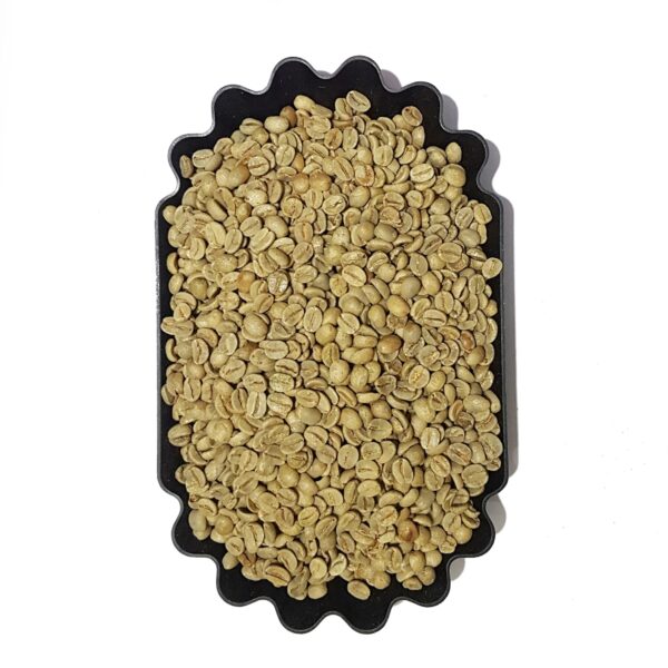 RIO MINAS 15/16 Green Coffee Beans from Espírito Santo | Supplier