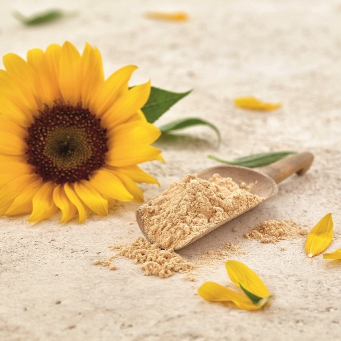Soy lecithin vs sunflower lecithin