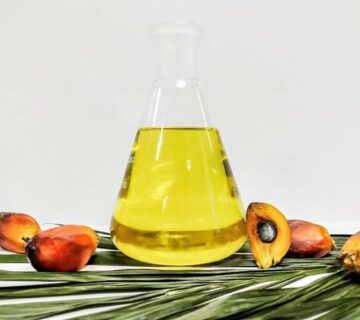 Palm Kernel Oil Fractions from TÜRKİYE for Bakery Applications
