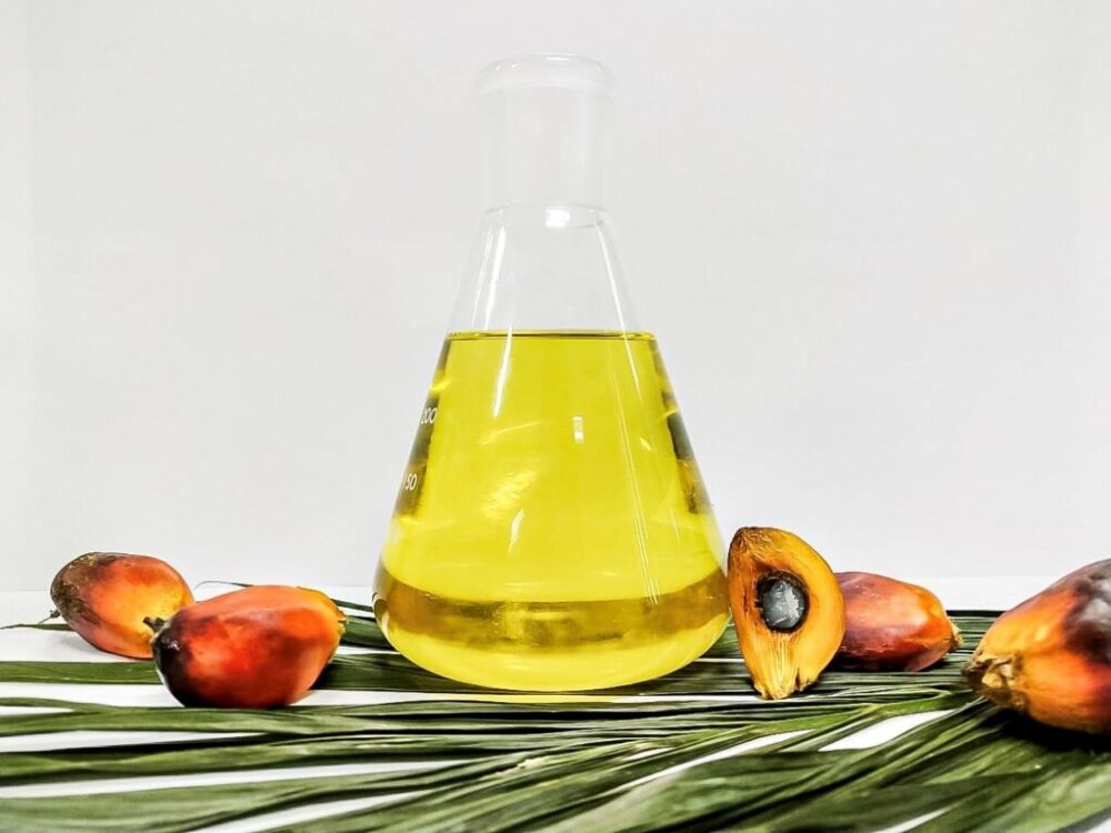 Palm Kernel Oil Fractions from TÜRKİYE for Bakery Applications