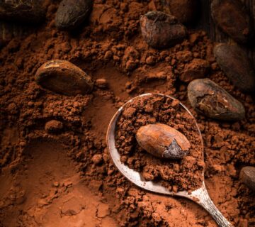 Alkalized Cocoa Powder Supplier TÜRKİYE