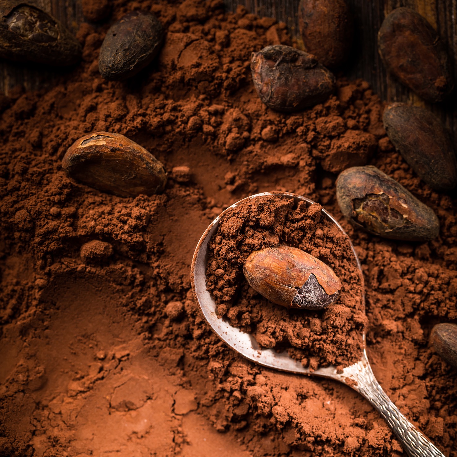 Alkalized Cocoa Powder Supplier TÜRKİYE