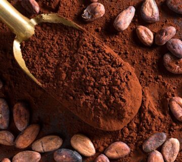 Alkalized cocoa powder for Palestinian bakeries Alkalized cocoa powder for Palestinian bakeries