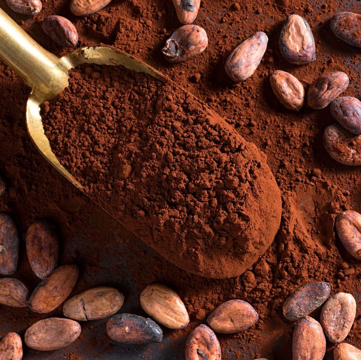 Alkalized cocoa powder for Palestinian bakeries