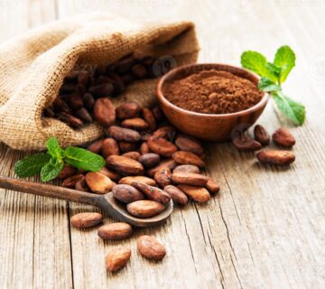 Alkalized cocoa powder supplier in Afghanistan